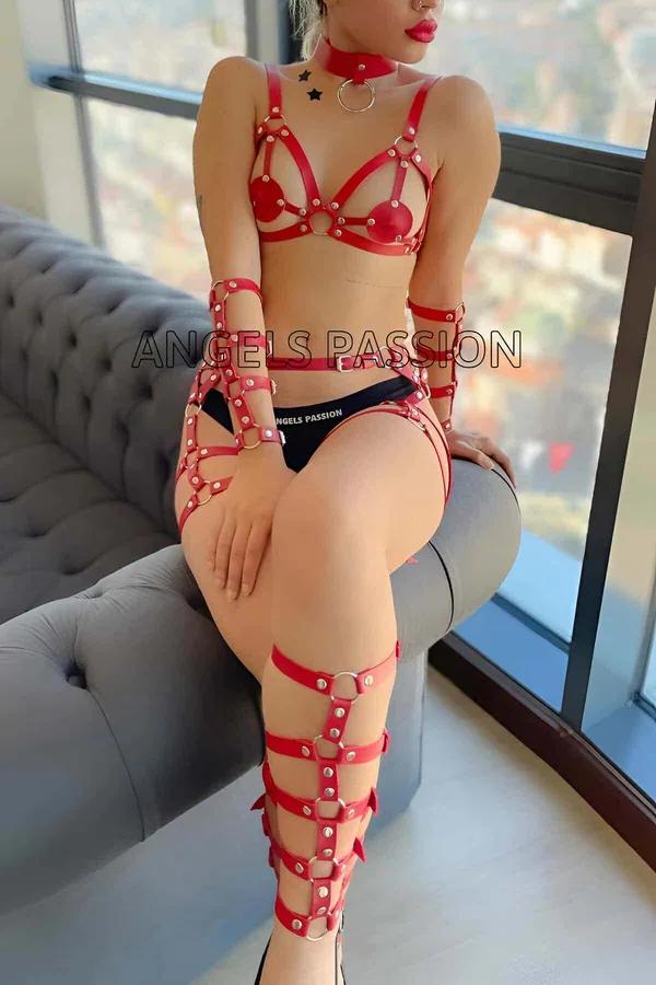 ឈុតខ្សែពាក់ពេញរាងកាយមានអាវទ្រនាប់និងខ្សែភ្លៅ