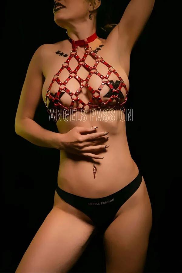 ខ្សែពាក់រាងទ្រុងដាំគ្រាប់ដែកមានខ្សែពាក់ក