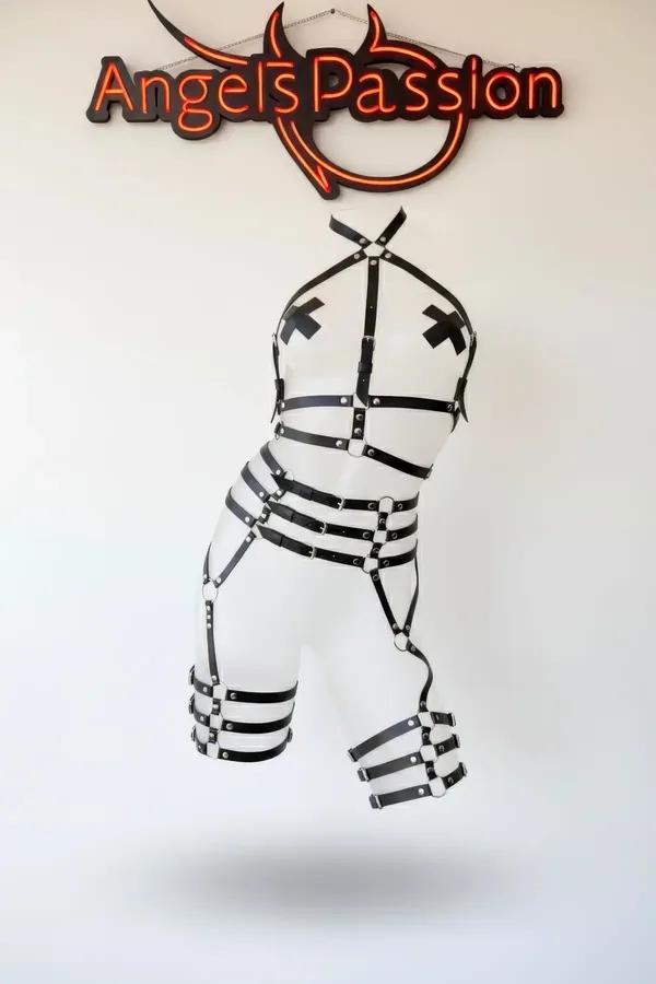 Full Body Harness with Adjustable Straps and O-Ring Closure
