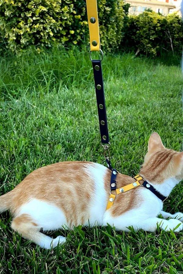ខ្សែពាក់ឆ្មាស្បែកសិប្បនិម្មិតពីរពណ៌អាចកែតម្រូវបាន